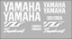 Yamaha Thundercat Decal set 2002 Style