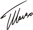 Fernando Alonso Signature Decal
