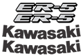 Kawasaki ER5 Decal set 2002 Models