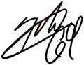 Nicky Hayden Signature Decal