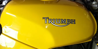 Triumph Decal 2 colour